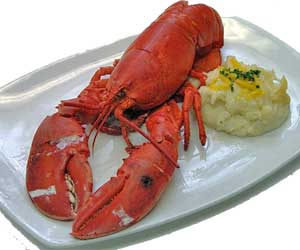 Lobster served on a dish